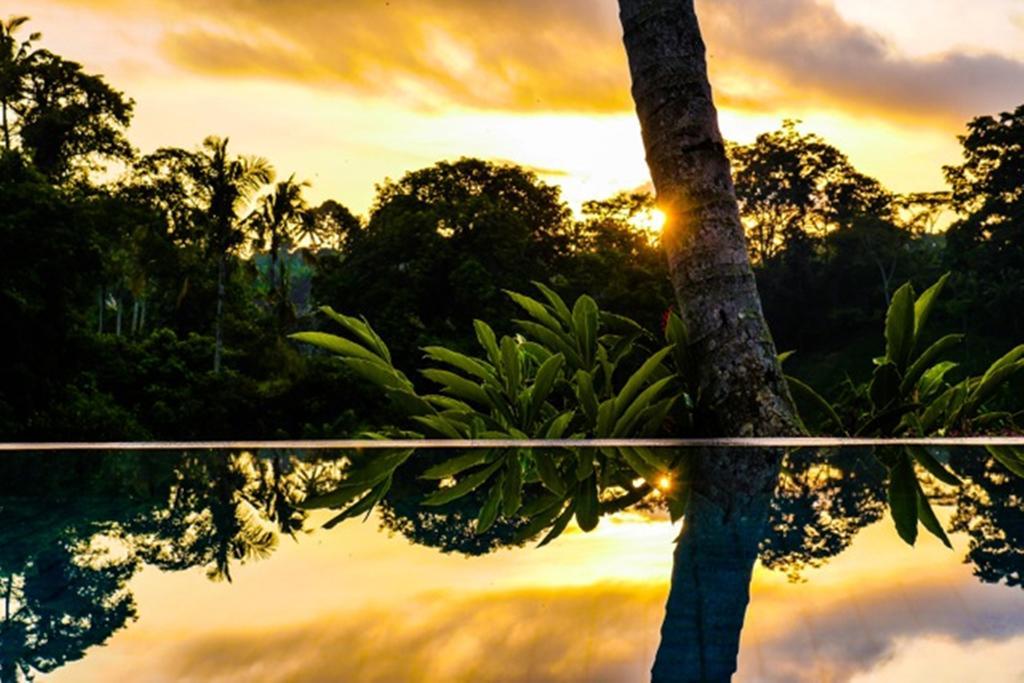 Kupu Kupu Private Villa Ubud Kültér fotó